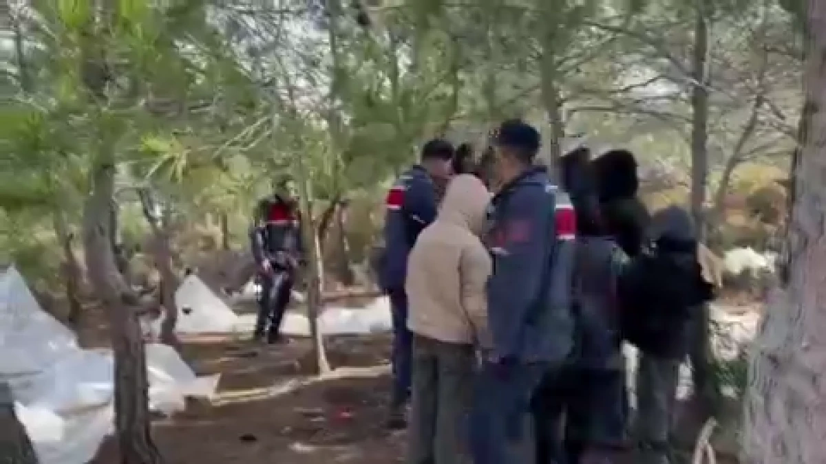 24 ilde dev operasyon