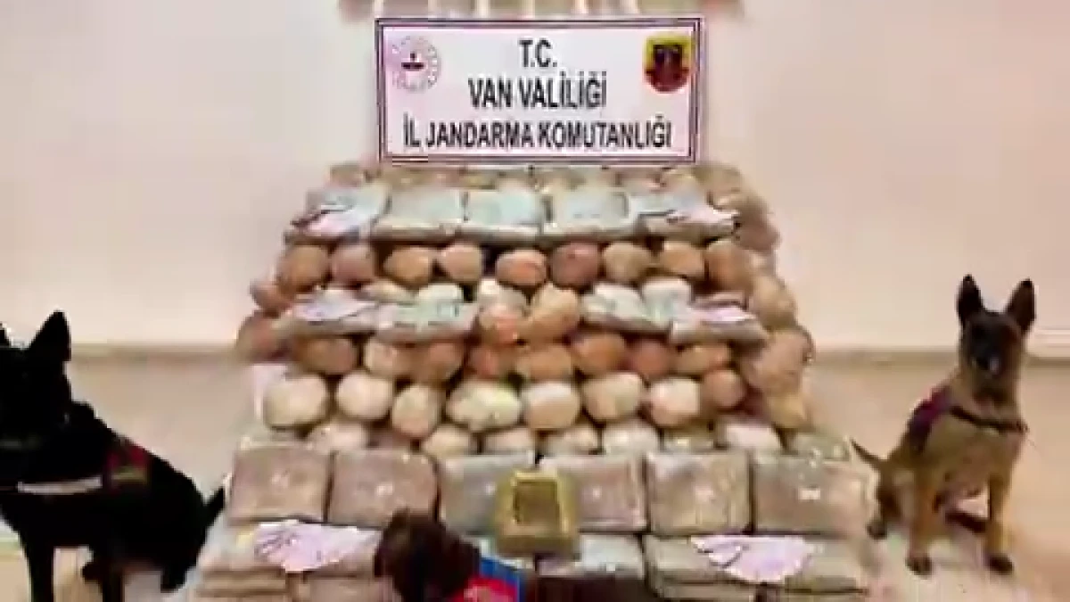 333 kilogram skunk ele ge&ccedil;irildi