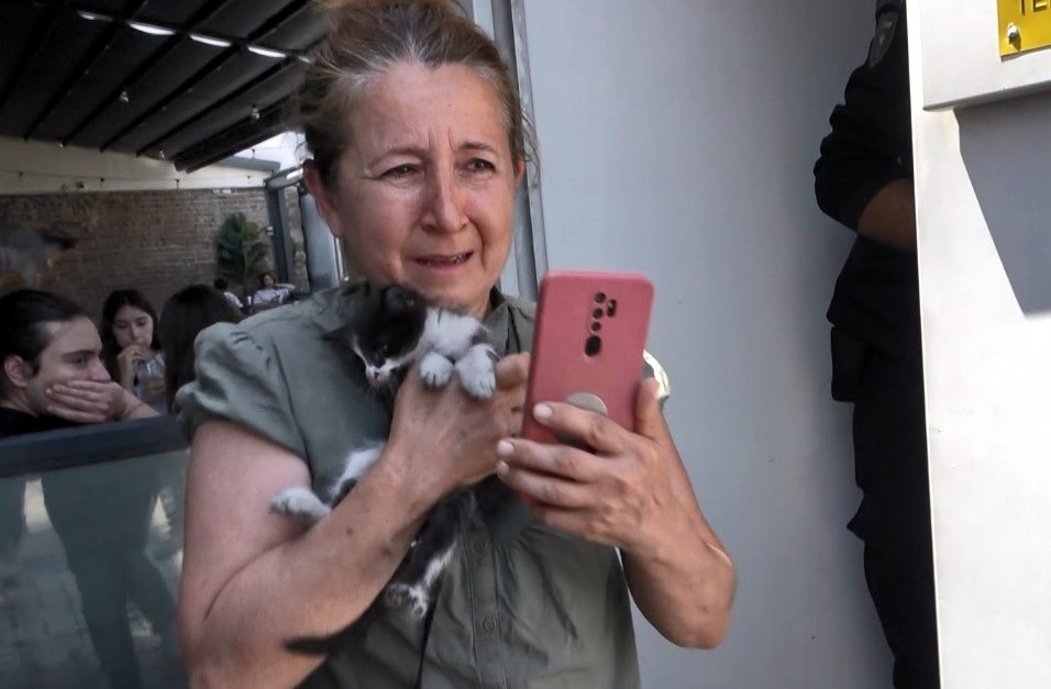 ATM'de mahsur kalan yavru kedi hayvanseverleri korkuttu