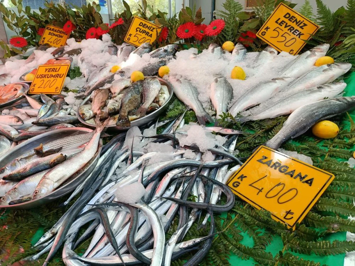 Balıkçılar palamut için 