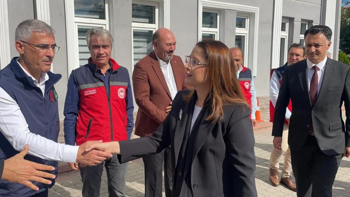 Bartın'da çiftçilere 300 bin sebze fidesi dağıtıldı