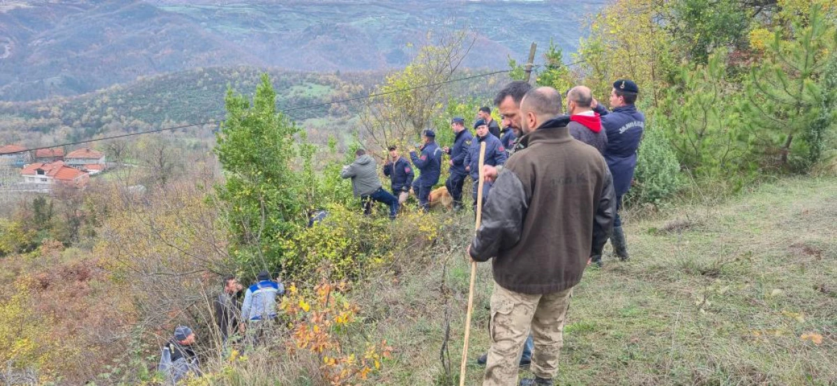 Defne toplarken kaybolan kadının cansız bedeni bulundu: O anlar  kameralarına yansıdı