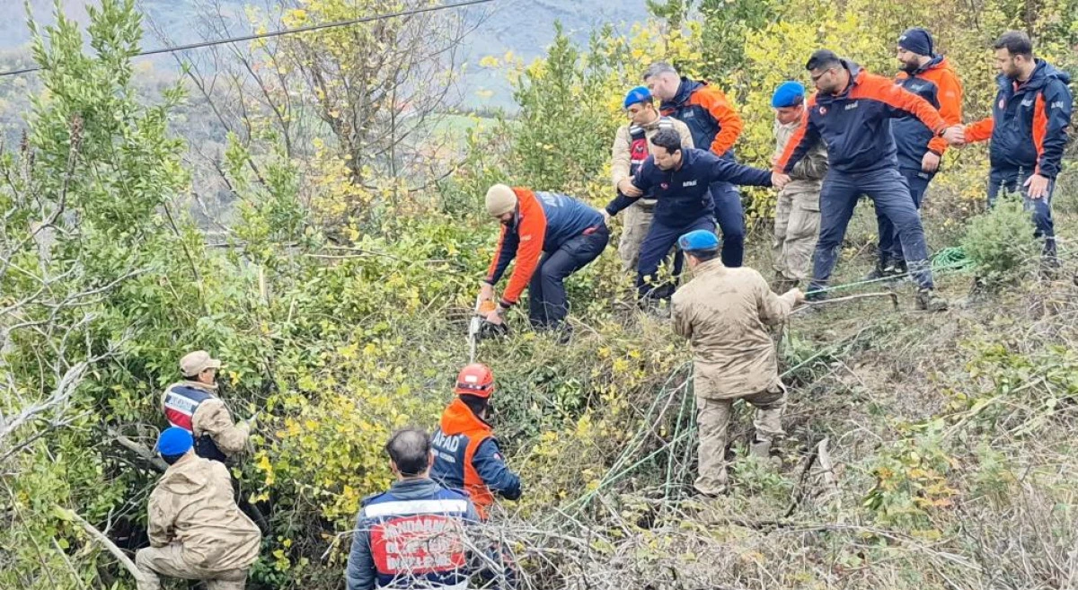 D&uuml;şt&uuml;ğ&uuml; &ccedil;alılık mezarı oldu