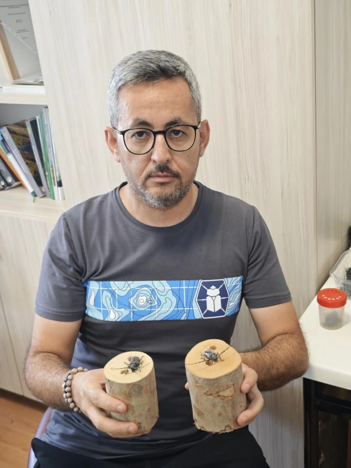 İstilacı böcekler sınır kapılarında tespit edilebilecek