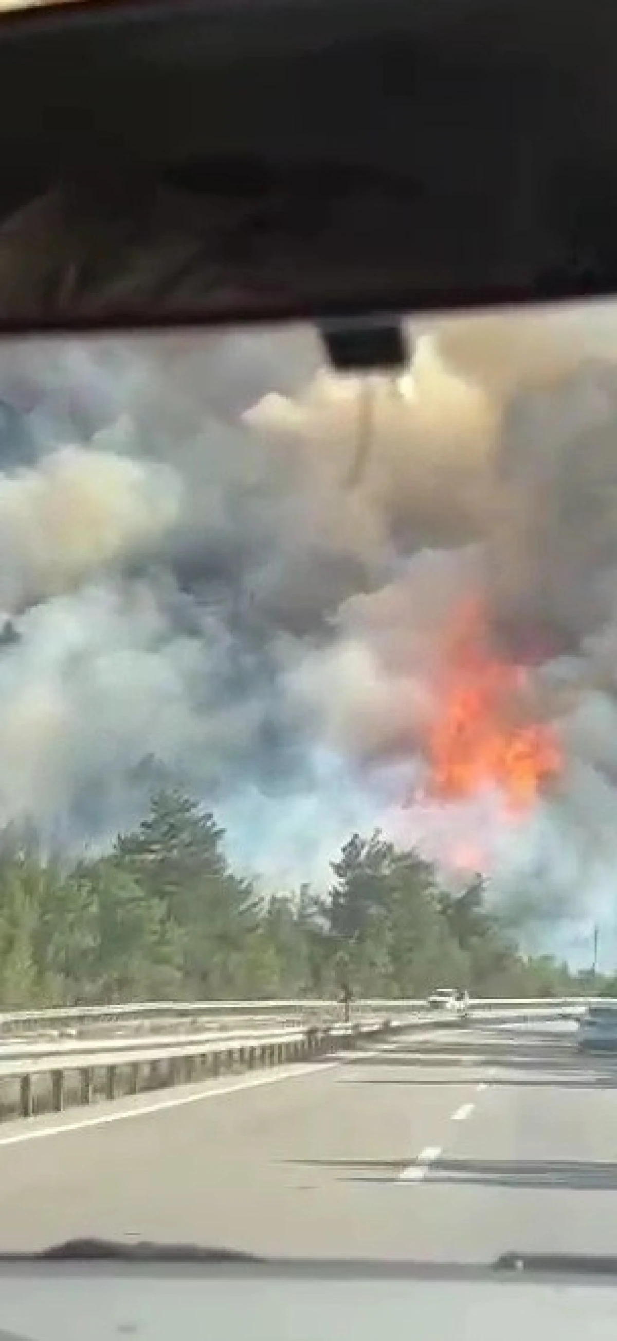 Karabük'te orman yangını çıktı