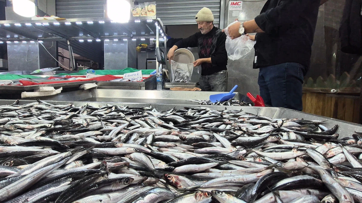 Karadeniz'de hamsi bollaştı, Bartın'da kilosu 50TL'ye düştü