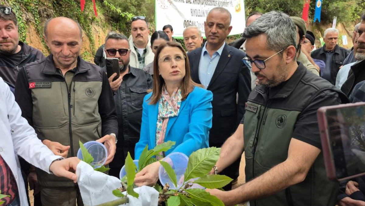 Karadeniz'de 