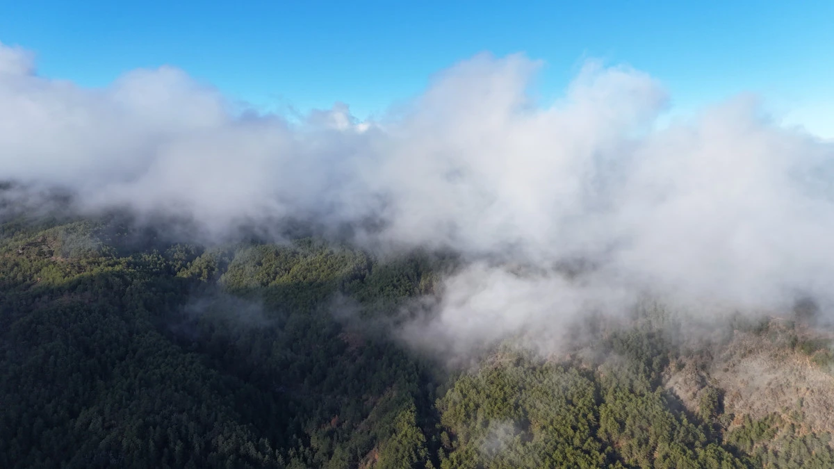 Kastamonu'da sis bulutları ve ormanların buluşması mest etti