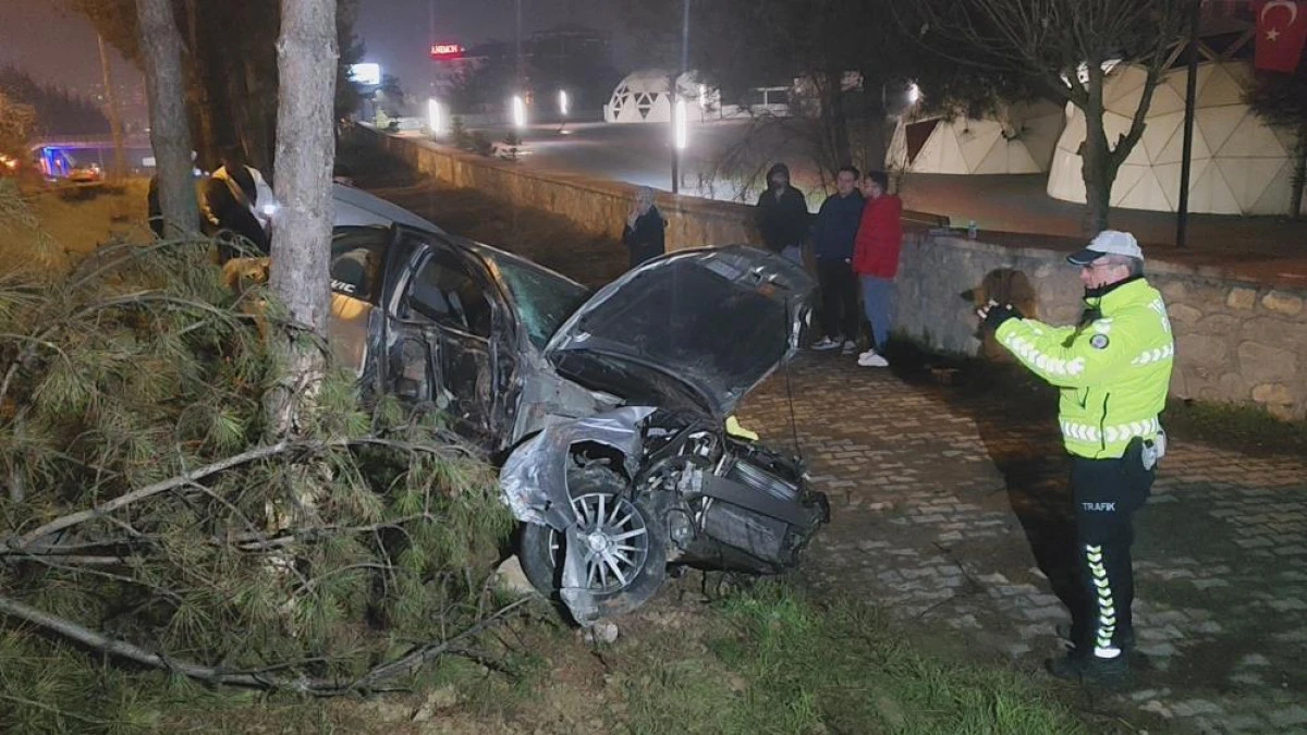 Kontrolden çıkan otomobil, direk ve ağaçlara çarptı: 1 yaralı