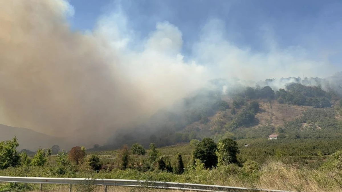 Orman yangını 5. saatinde