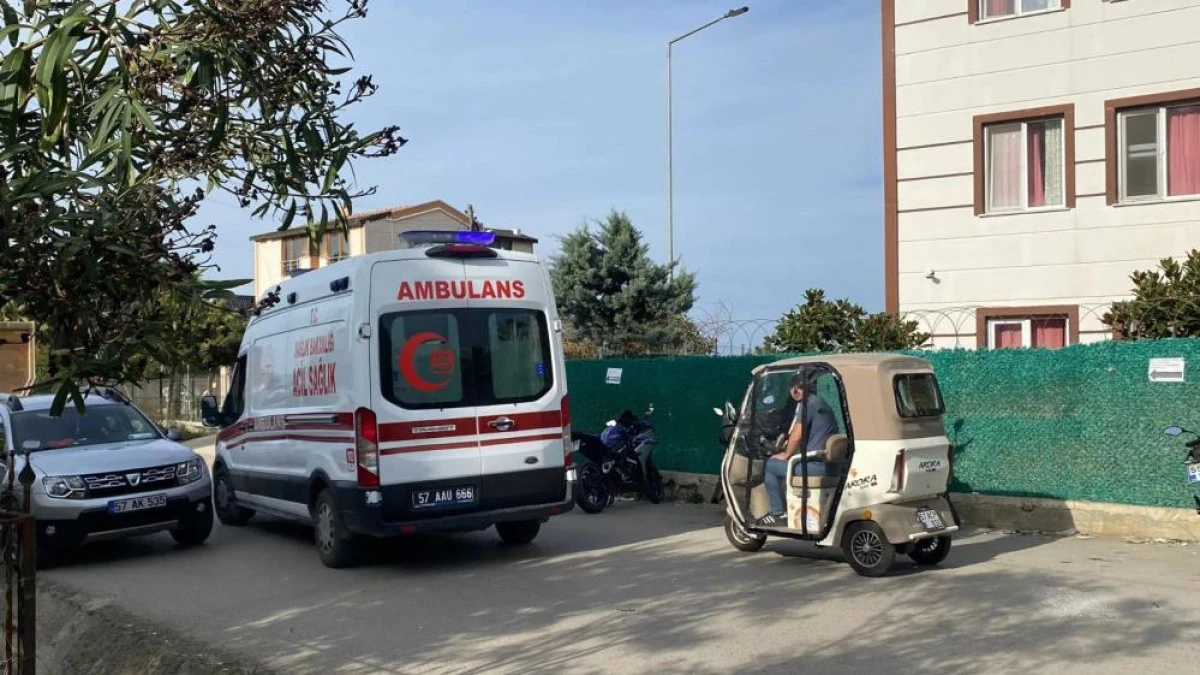 Sinop'ta ağaç budarken düşen vatandaş yaralandı