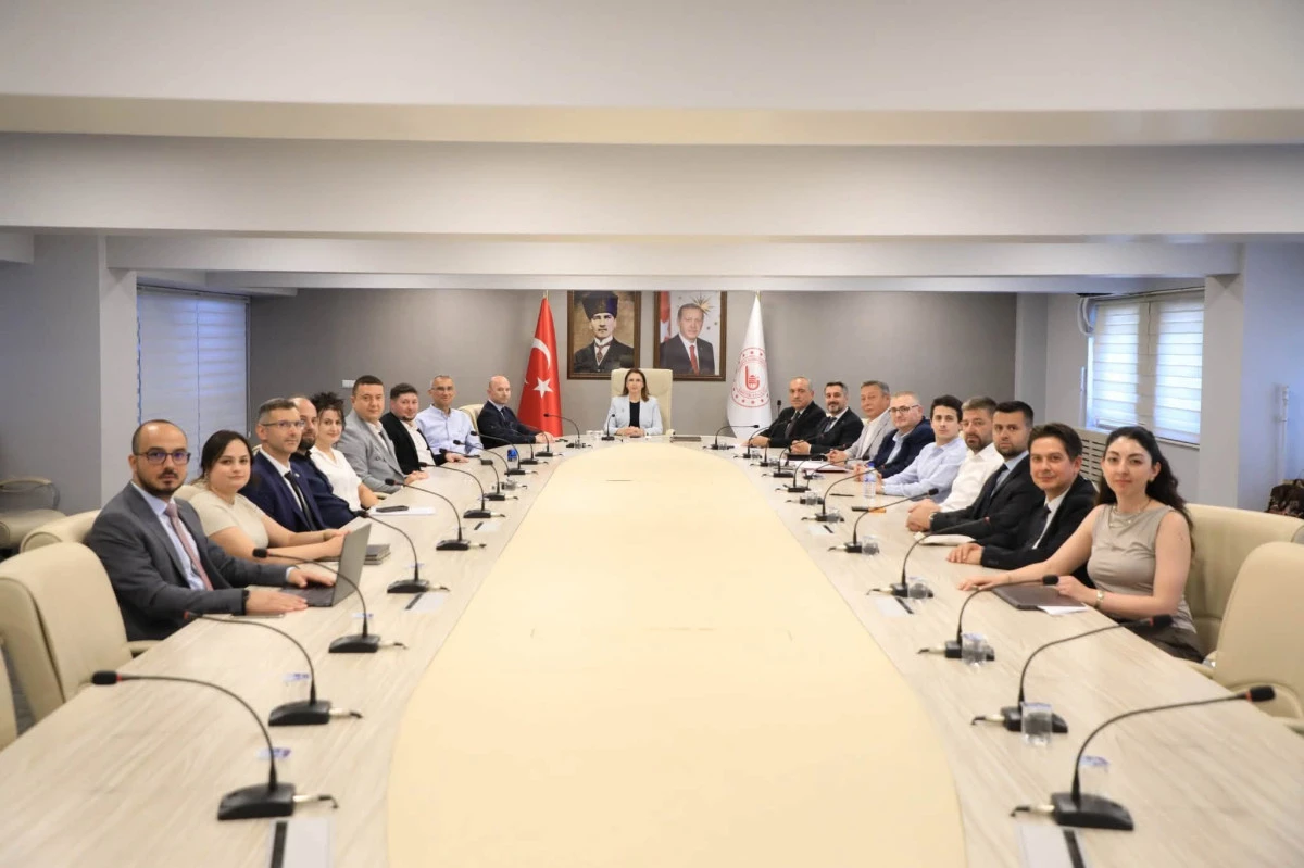 Vali Dr. Nurta&ccedil; Arslan başkanlığında, Sanayi ve Teknoloji Bakanlığı tarafından y&uuml;r&uuml;t&uuml;len Yerel Kalkınma Hamlesi 