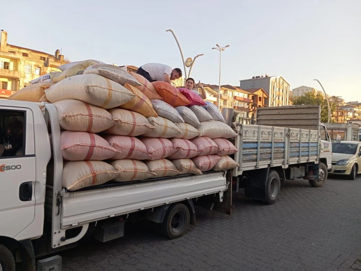 Yılbaşına g&uuml;nler kala fındık fiyatları y&uuml;kselişe ge&ccedil;ti