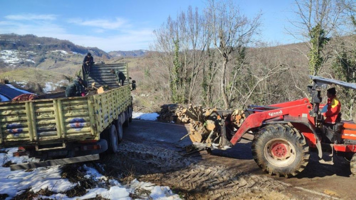 Bartın'dan odun yüklenen kamyonlar deprem bölgesine hareket etti